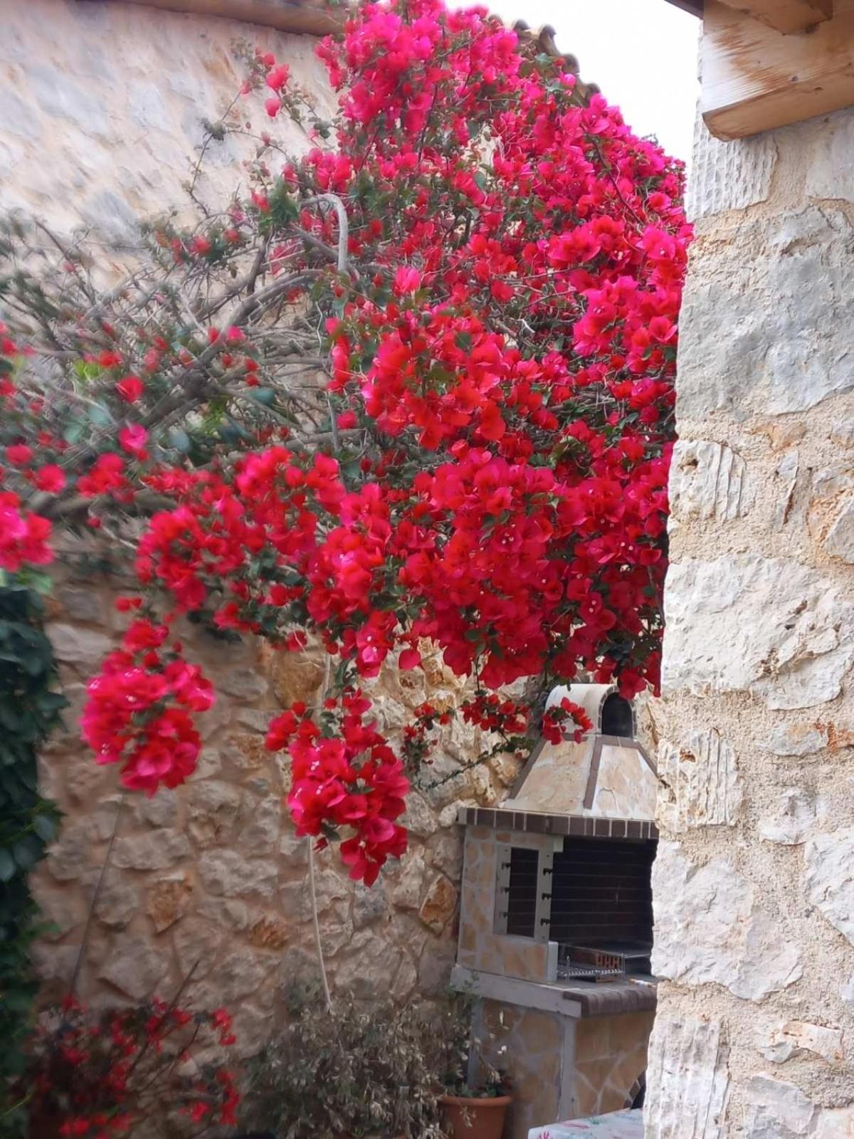 Dioni Villa Sivota  Exterior photo